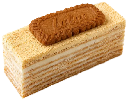 Lotuslu kat pasta